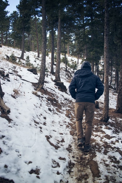 男人穿着黑色连帽外套走在树下,雪在冬天
